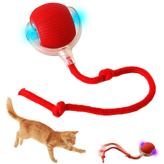 Smart Interactive Rolling Ball – USB Rechargeable Cat & Dog Toy (Indestructible, for Small/Medium Pets)